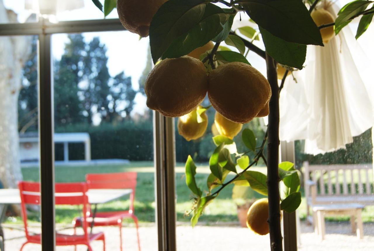 La Ferme De Gigognan Bed and Breakfast Avignon Exteriör bild